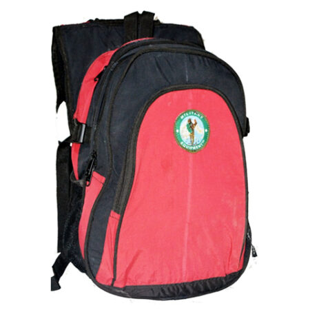 Day Pack School